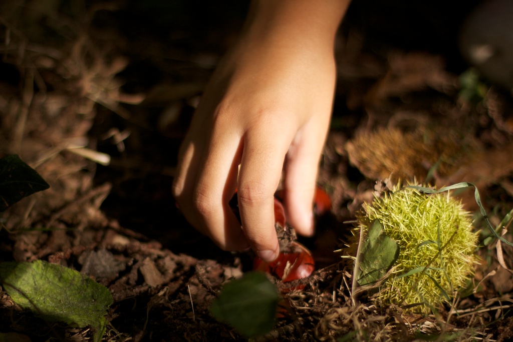 magosto angoares septembre 2011 magosto angoares septembre 2011