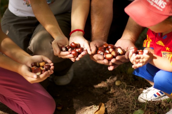 magosto angoares septembre 2011