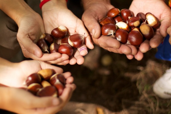 magosto angoares septembre 2011