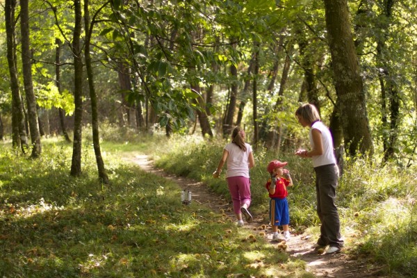 magosto angoares septembre 2011