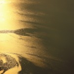 Cuerno de oro (Ría de Vigo)