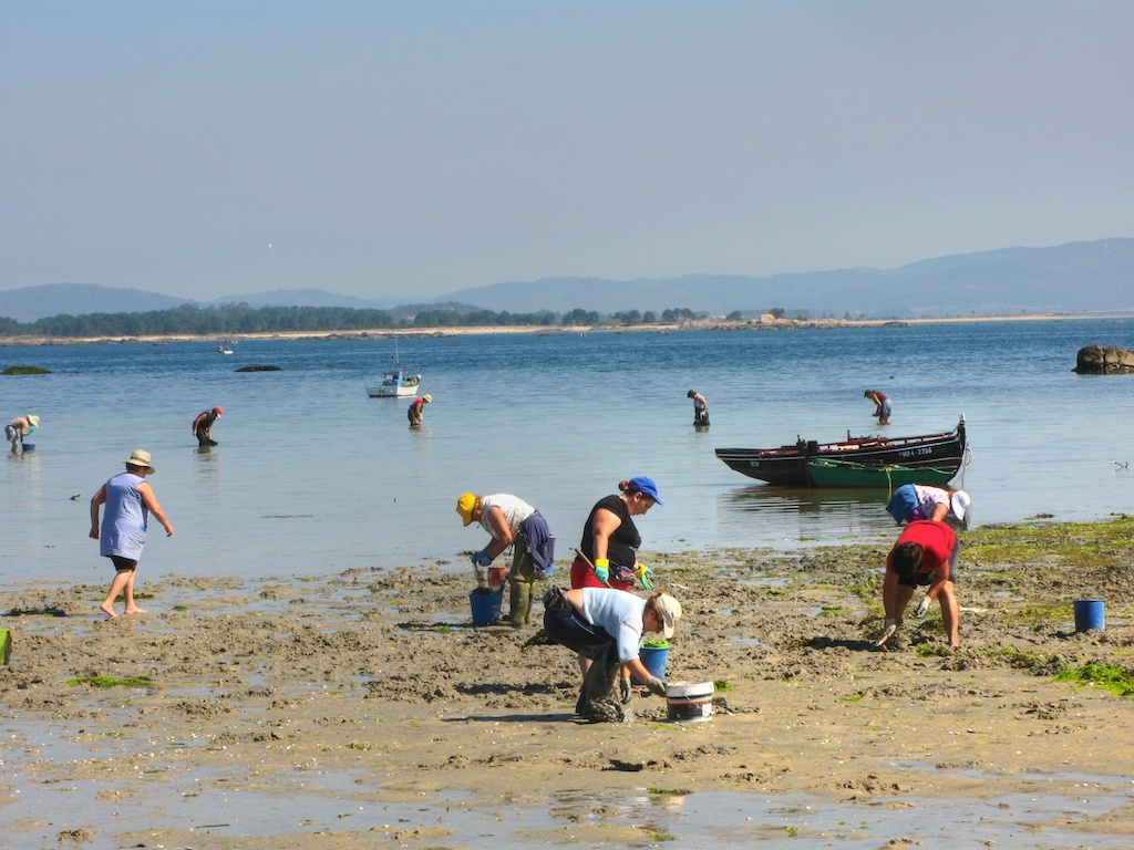 Mariscadoras · O Grove