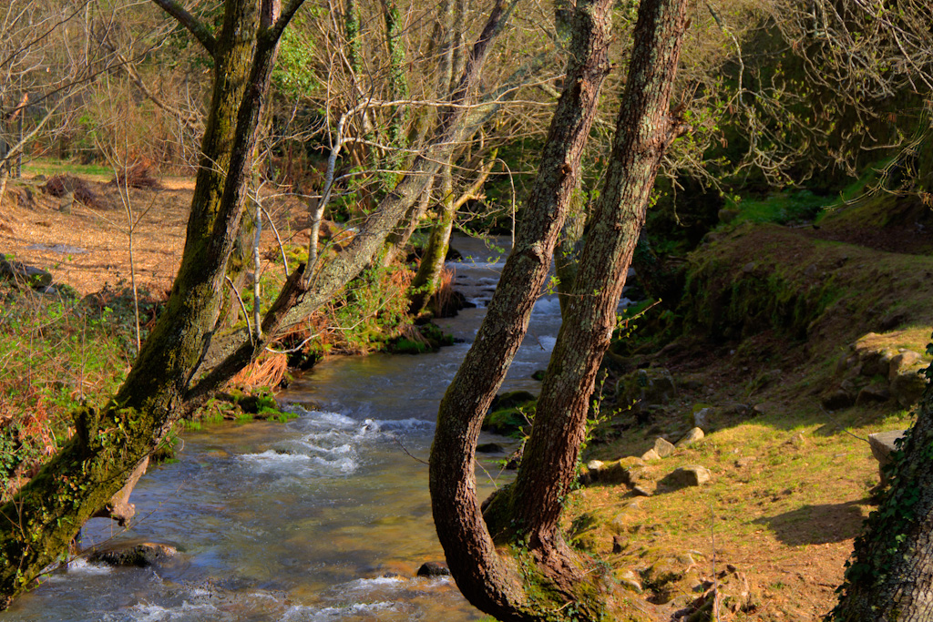 Mondariz Balneario: bosque, río, playa, termalismo…