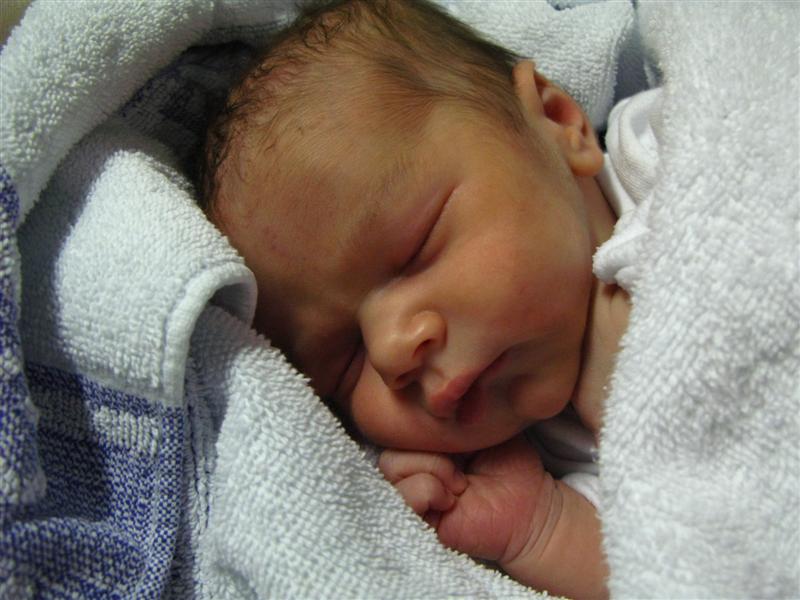 Nicolás, Sani y Mario