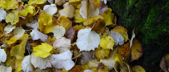 Otono en Mondariz Balneario