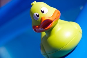 pato verde en la piscina pato verde en la piscina