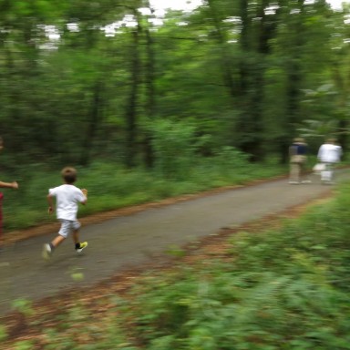 paupau y nicolás corriendo por el bosque (3)