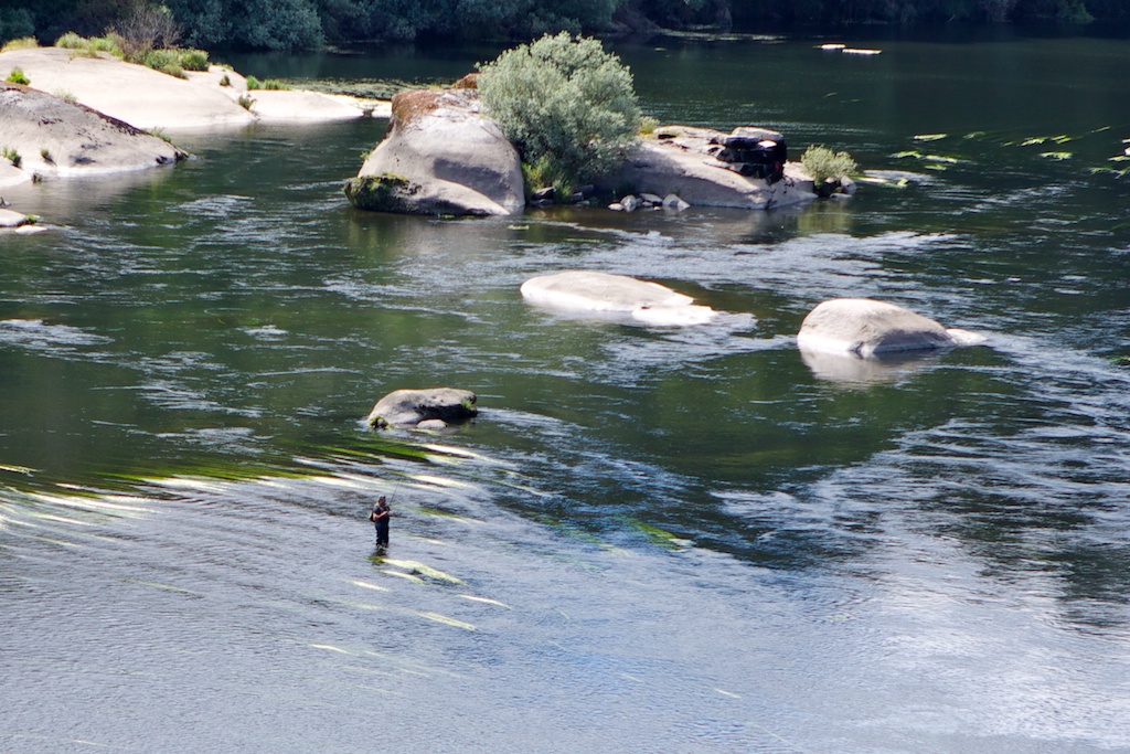 Pescador en el río Miño