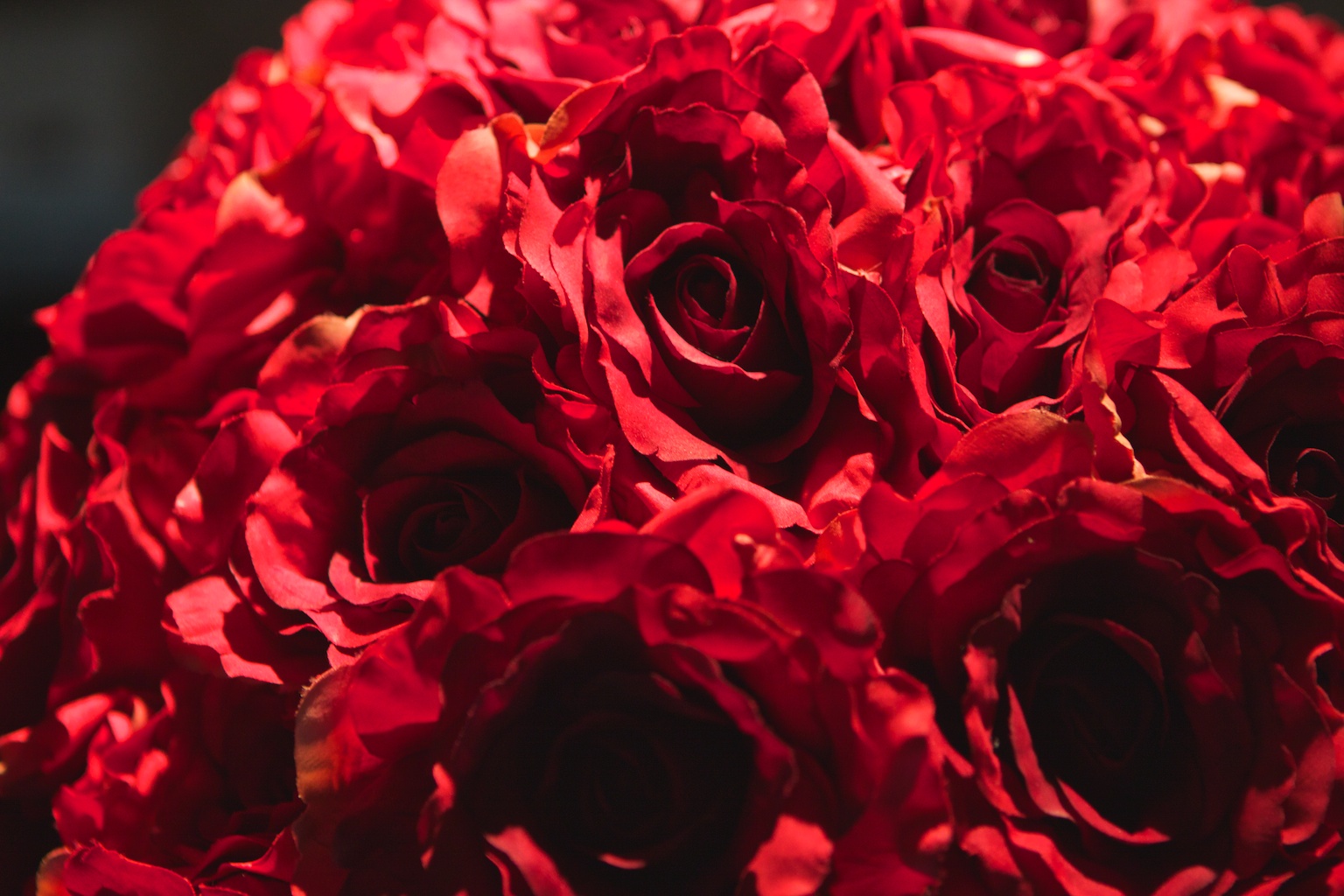 Consejo fotográfico 46: Felicita con fotos de flores