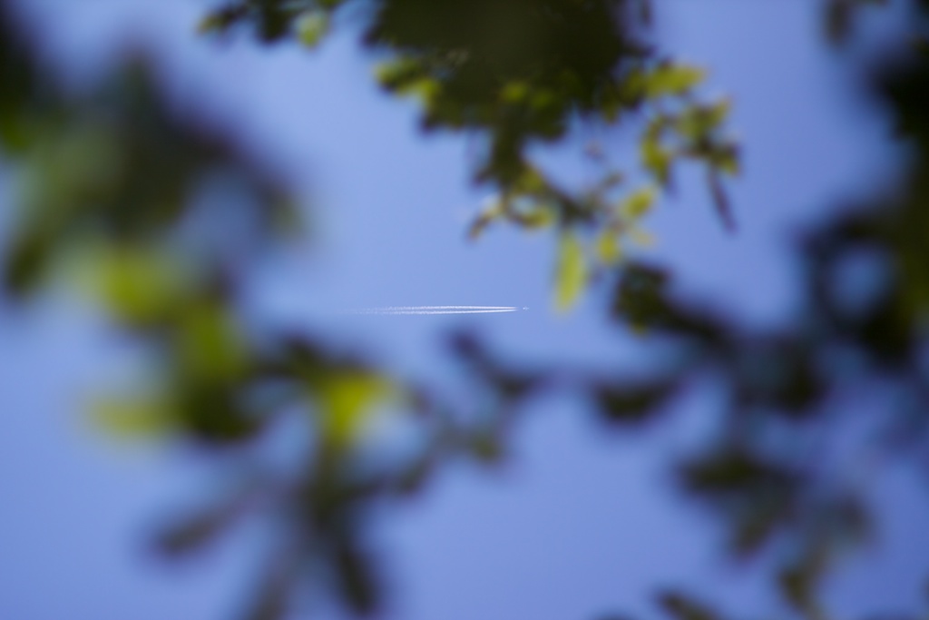 A la sombra de un carballo