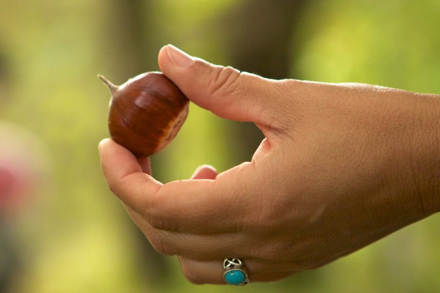 retratos de manos magosto Angoares Ana