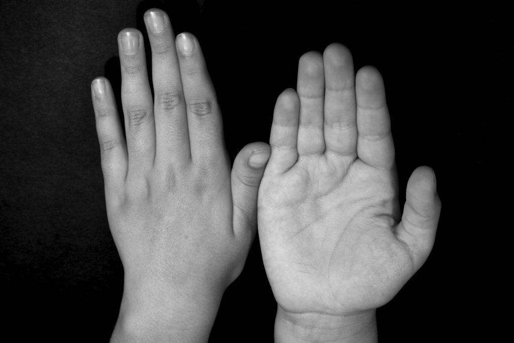 Retratos de manos IV · Paupau