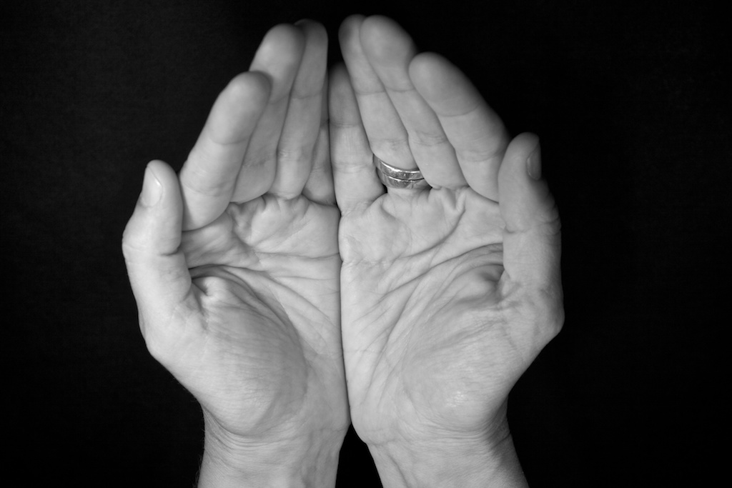 Retratos de manos I · Sani