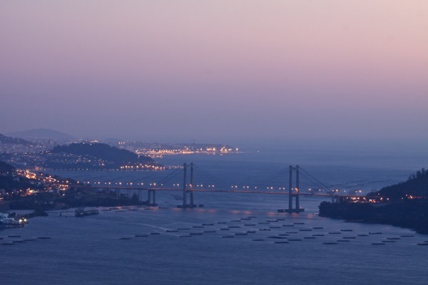 ria de vigo puente de rande de noche