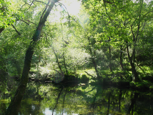 La casa de la colina