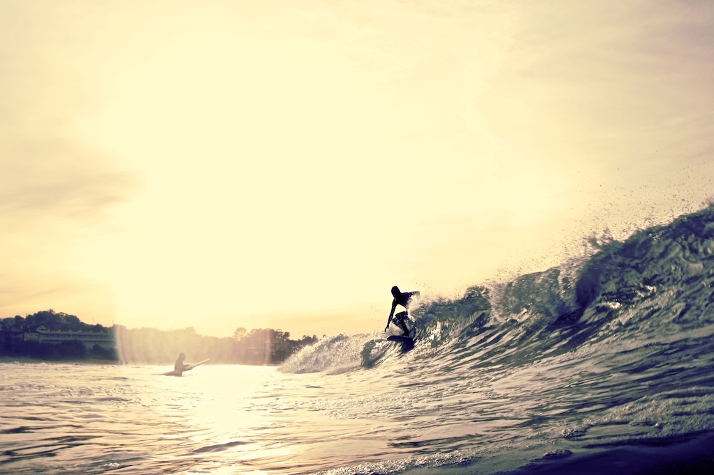 CF 83: ¡Te obsesionarás con la luz!