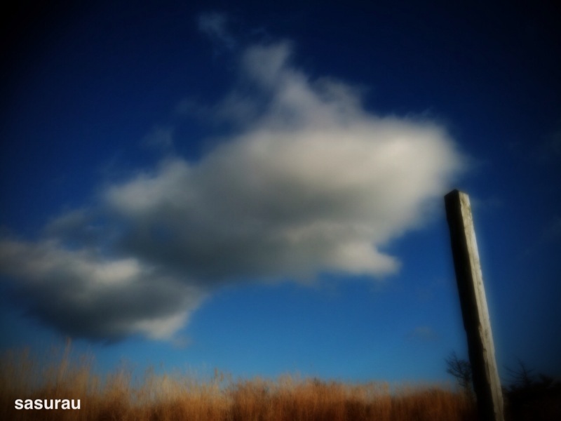 sasurau fotos con el iphone sasurau fotos con el iphone