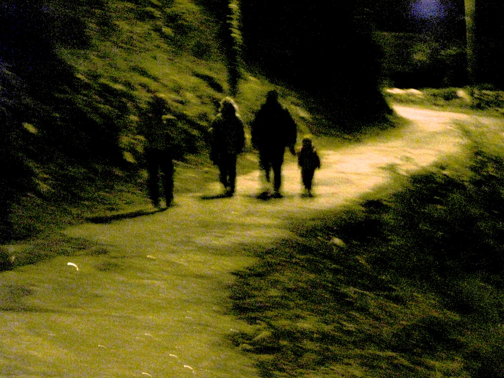 Siluetas en la noche