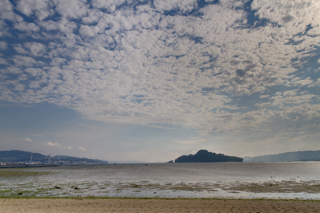 Planta de ENCE en Pontevedra