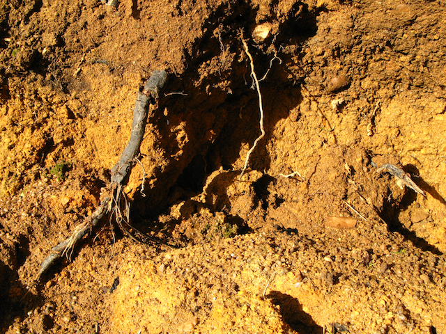 Las entrañas de la Tierra