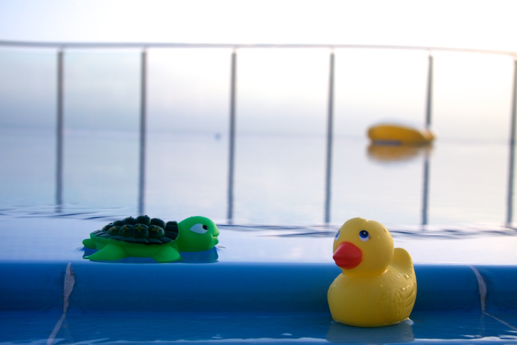 Tomasa y Pato en la piscina