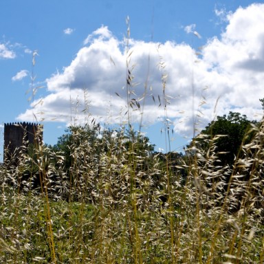 Torre de Minho Pitoresco, Lapela · Monçao (Viana do Castelo) Portugal
