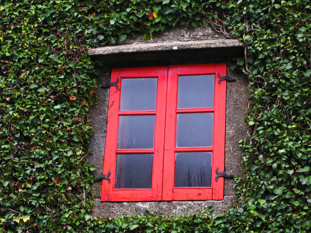 Las lágrimas de una ventana
