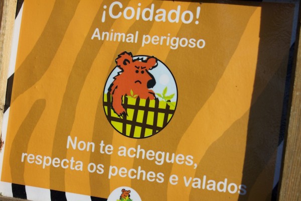 zoo de vigo ¡cuidado con el oso!